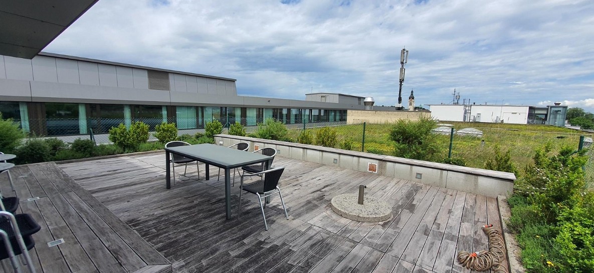 06 Grütlistrasse 1.jpeg