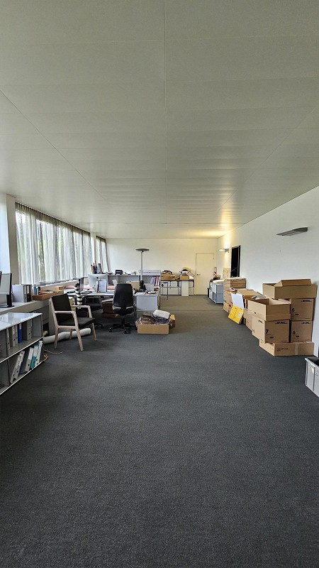 Mövenstrasse 18.2.jpg