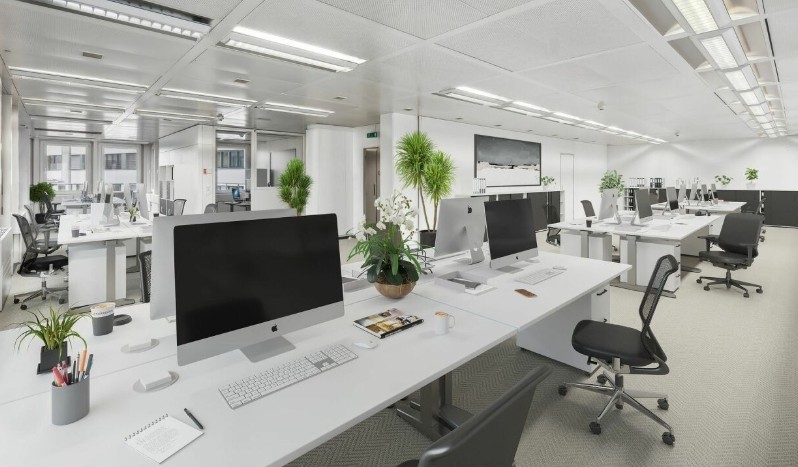 Schochengasse 6 neu 2.jpeg