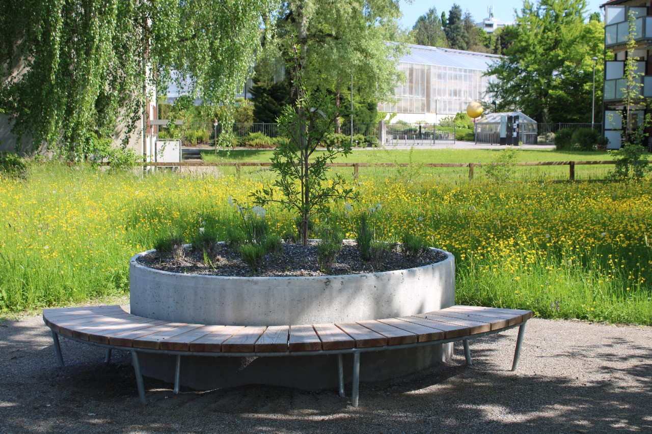 Park Stephanshorn 1.JPG