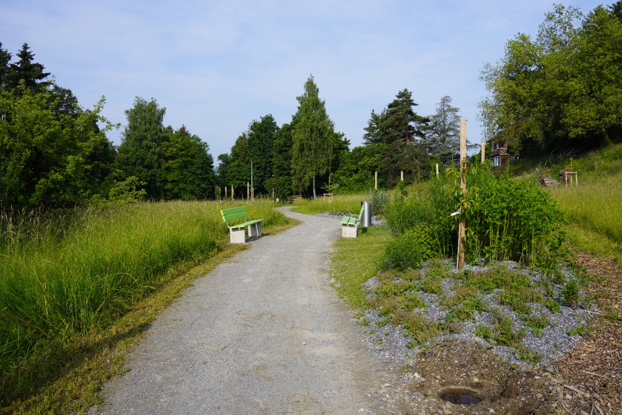 Park Stephanshorn 5.JPG