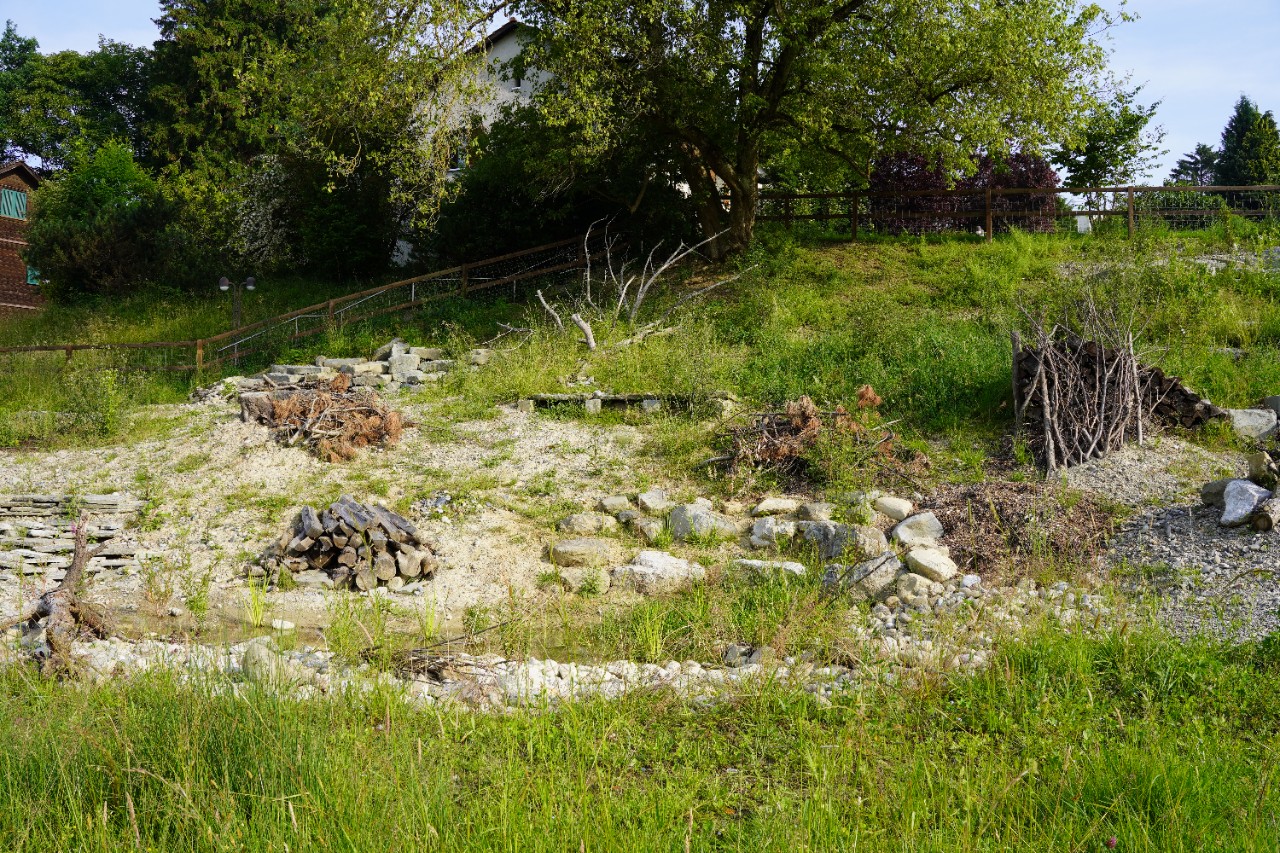 Park Stephanshorn 6.JPG