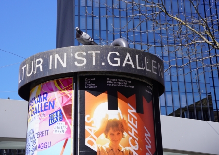 Taube auf Litfasss&auml;ule