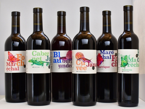 Die Flaschen-Designs