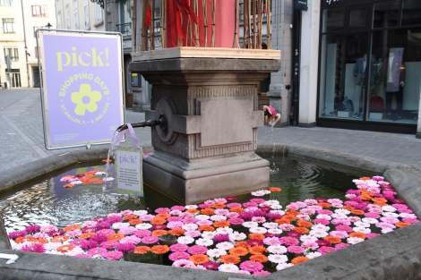 Brunnen Blumen