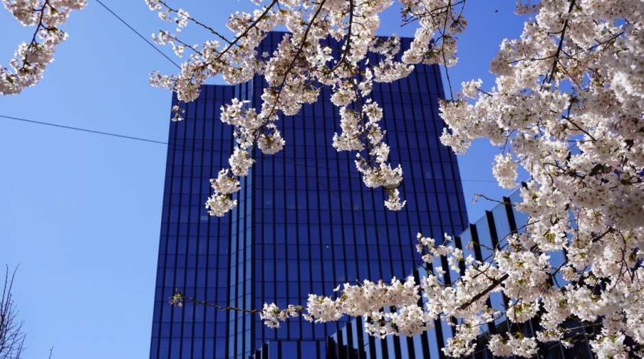 Rathaus Stadt St.Gallen