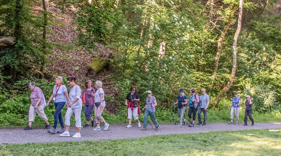 Z&auml;megolaufe auf einem Parcours