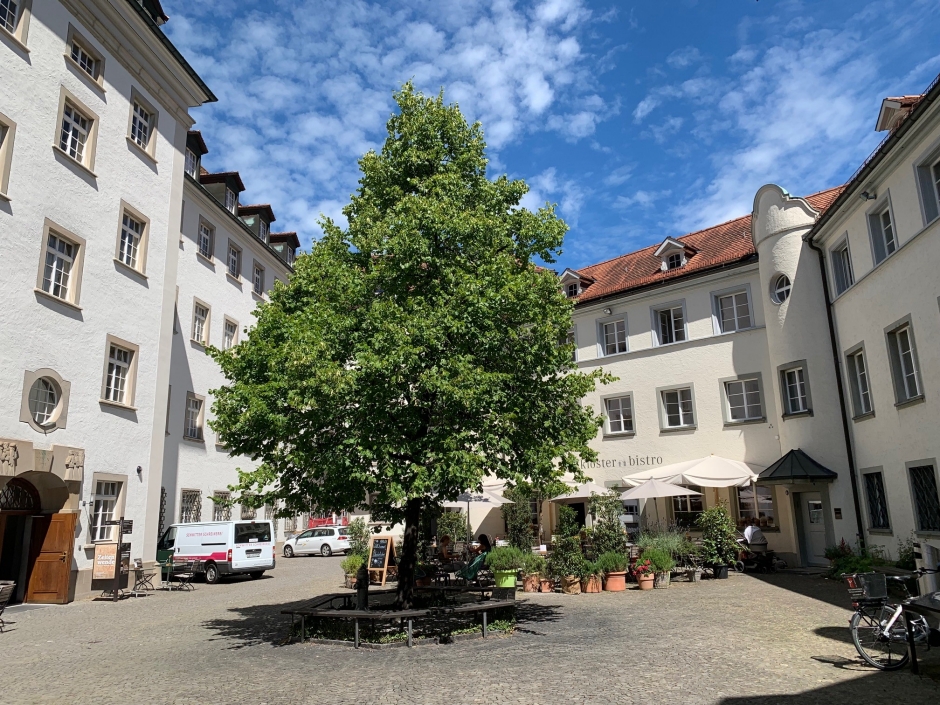 Gallusplatz Linde