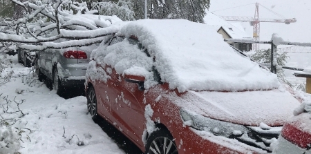 &Uuml;bersichtsbild umgest&uuml;rzter Baum auf Auto