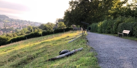 Umgetretener Kuhzaun in den Drei Weieren.