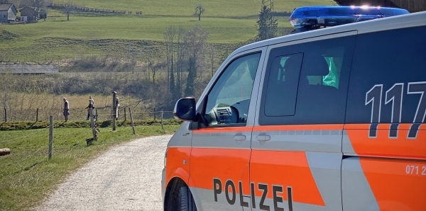 Symbolbild Patrouille