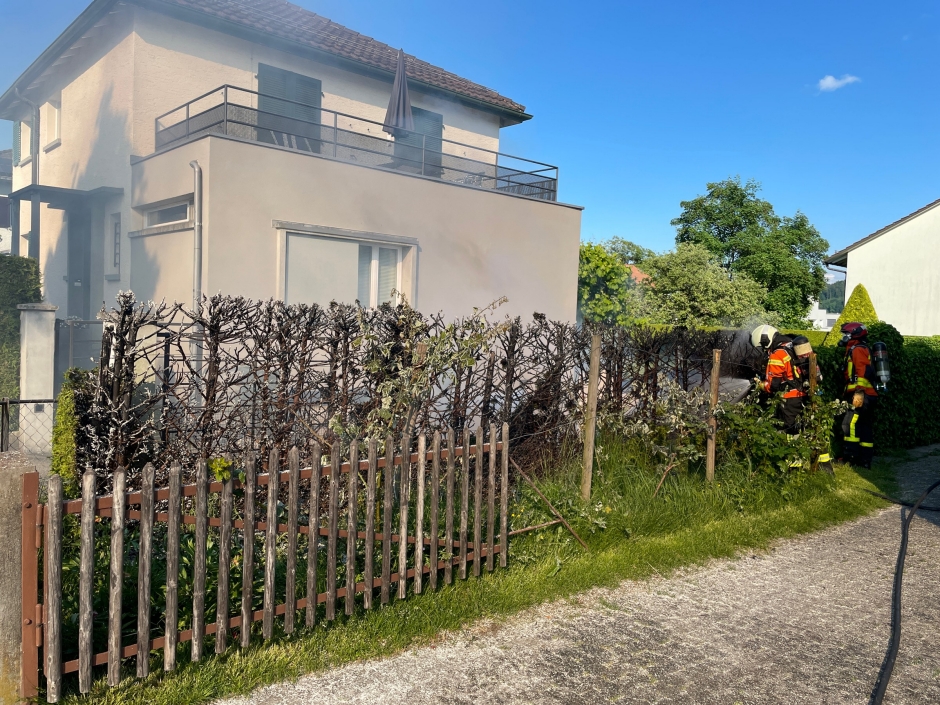 Gel&ouml;schte Hecke