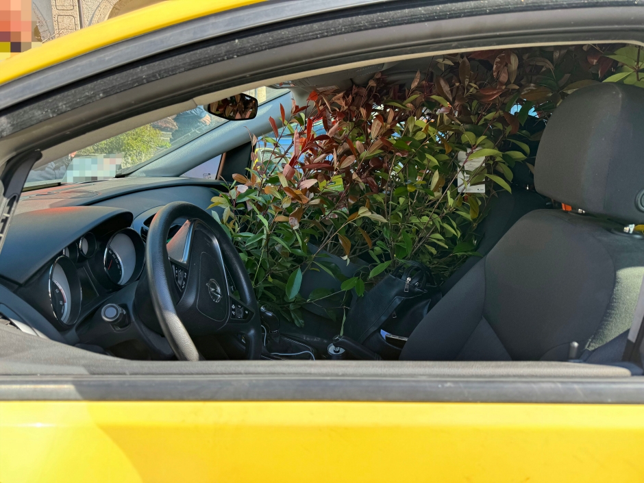 Sichtbehindernde Ladung 